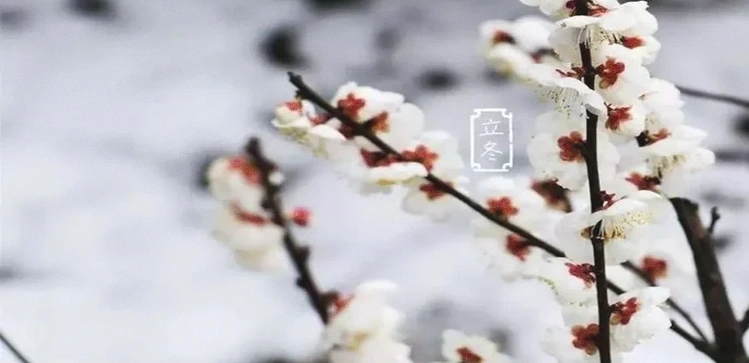 前行路上的30条正能量短句：全力以赴，未来明亮